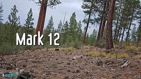 Mark 12, Bible Reading in Nature, BSB