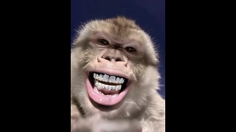 Grillz For Pets