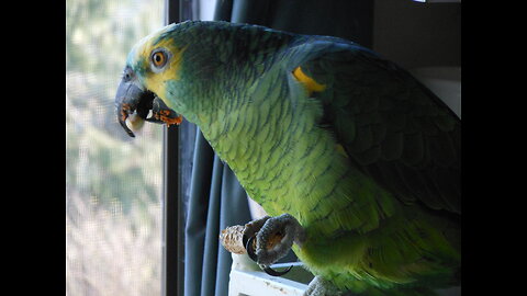 Going for the first live stream