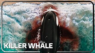 Killer Whale (2026) Official Trailer