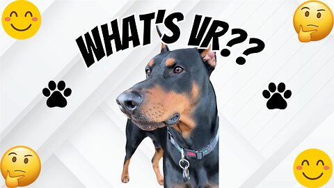 Doberman Plays In A VR World