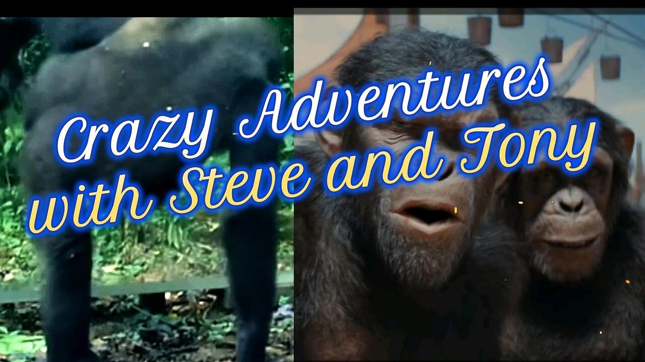 The crazy Adventures with Steve and Tony