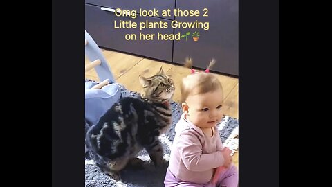 Cat gets FASCINATED by baby’s Pigtails 🤣