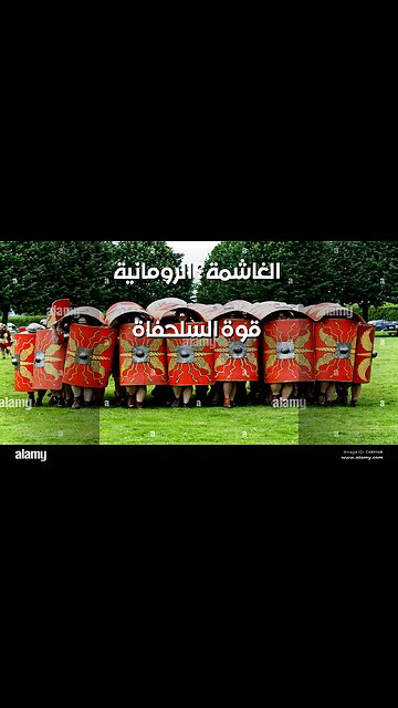 السلحفاة الرومانية: ️سر القوة الغاشمة؟