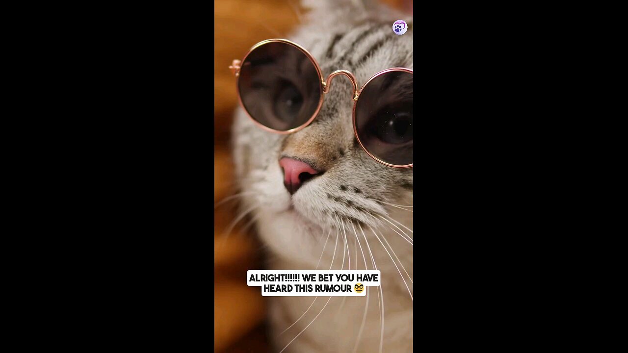 🧡❣️ Mew Time !Somthing About Cat 💔🙀 #CatsOfRumble #catvision💔💔❤️‍🔥