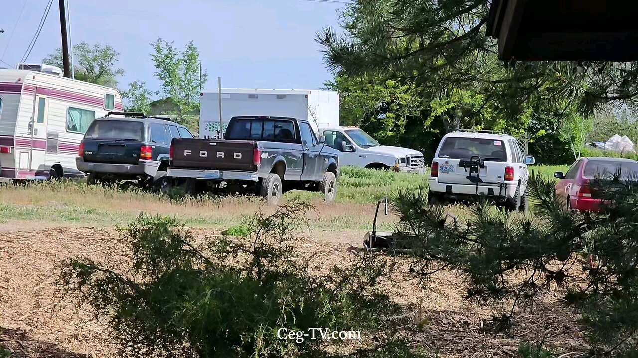 Graham Family Farm: Uribe's Tree Service Wood Chips - May 9 2025