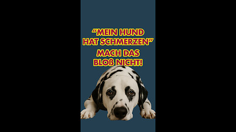 "Der Hund hat Schmerzen" Mach das bloß nicht!