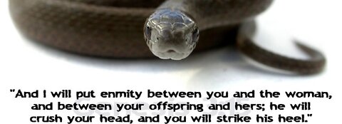 THE SERPENT OFFSPRING WAS MAN. (DON'T FOLLOW THOSE STILL IN THIS MINDSET)