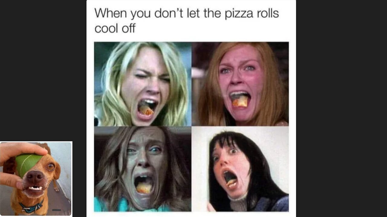 Meme compilation Episodes 561-565.