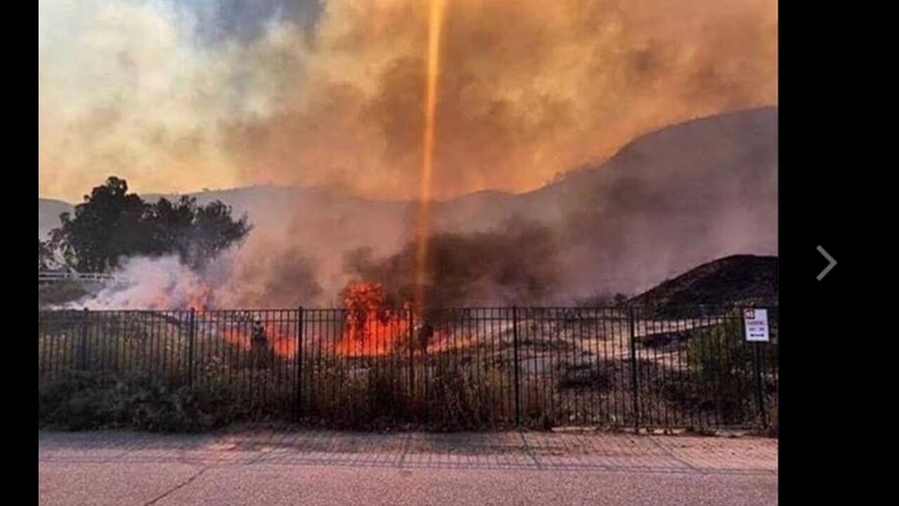 Forensic Arborist Says Nearly All CA Wildfires Have Been Caused by DEW's