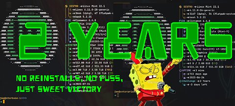 My 2 Years on Linux Mint