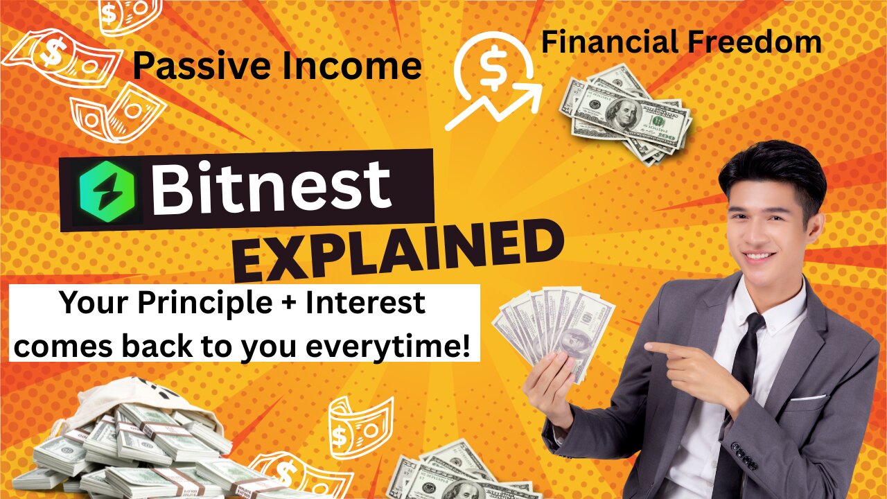 Financial Freedom - Passive Income - Simple - Low Risk - See How Easy It Is! BITNEST Explained -
