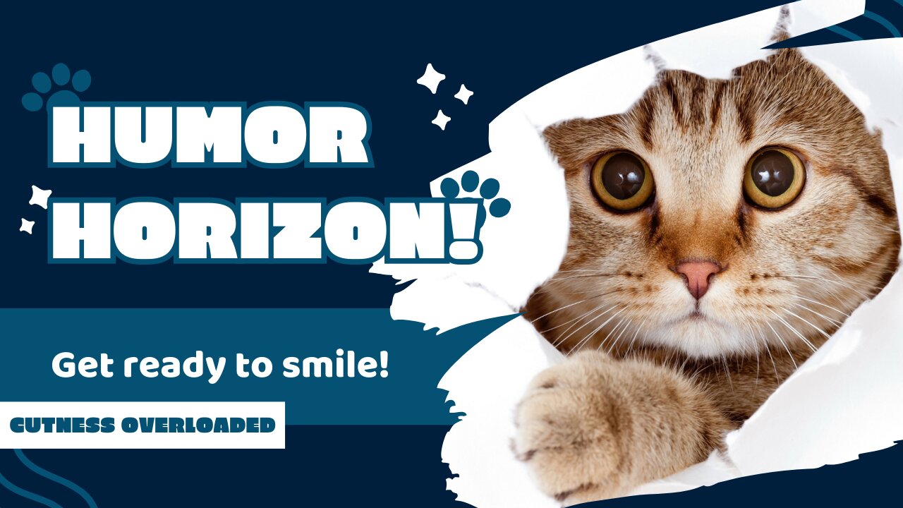 10 Long Jokes That Will Leave You Laughing Nonstop | Humor Horizon 😂🌅