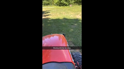 Bx2380 mowing the Yard