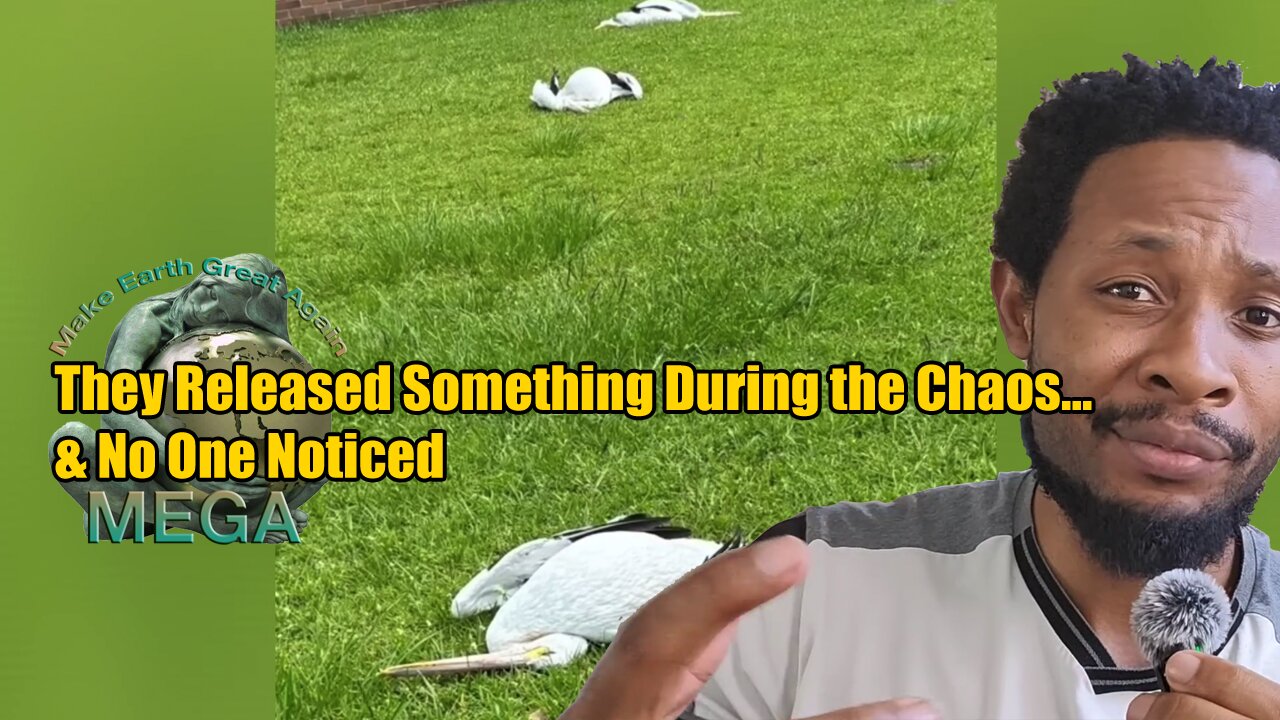 They Released Something During the Chaos… & No One Noticed