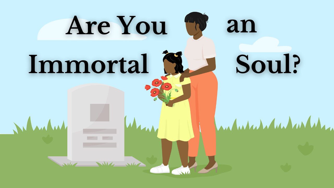 Are You an Immortal Soul?