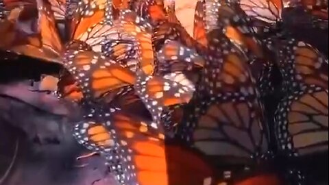 LEARNING FROM ADVERSITY - DAILY DEVOTIONAL ❤️