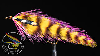 Tying the Jungle Queen - Dressed Irons