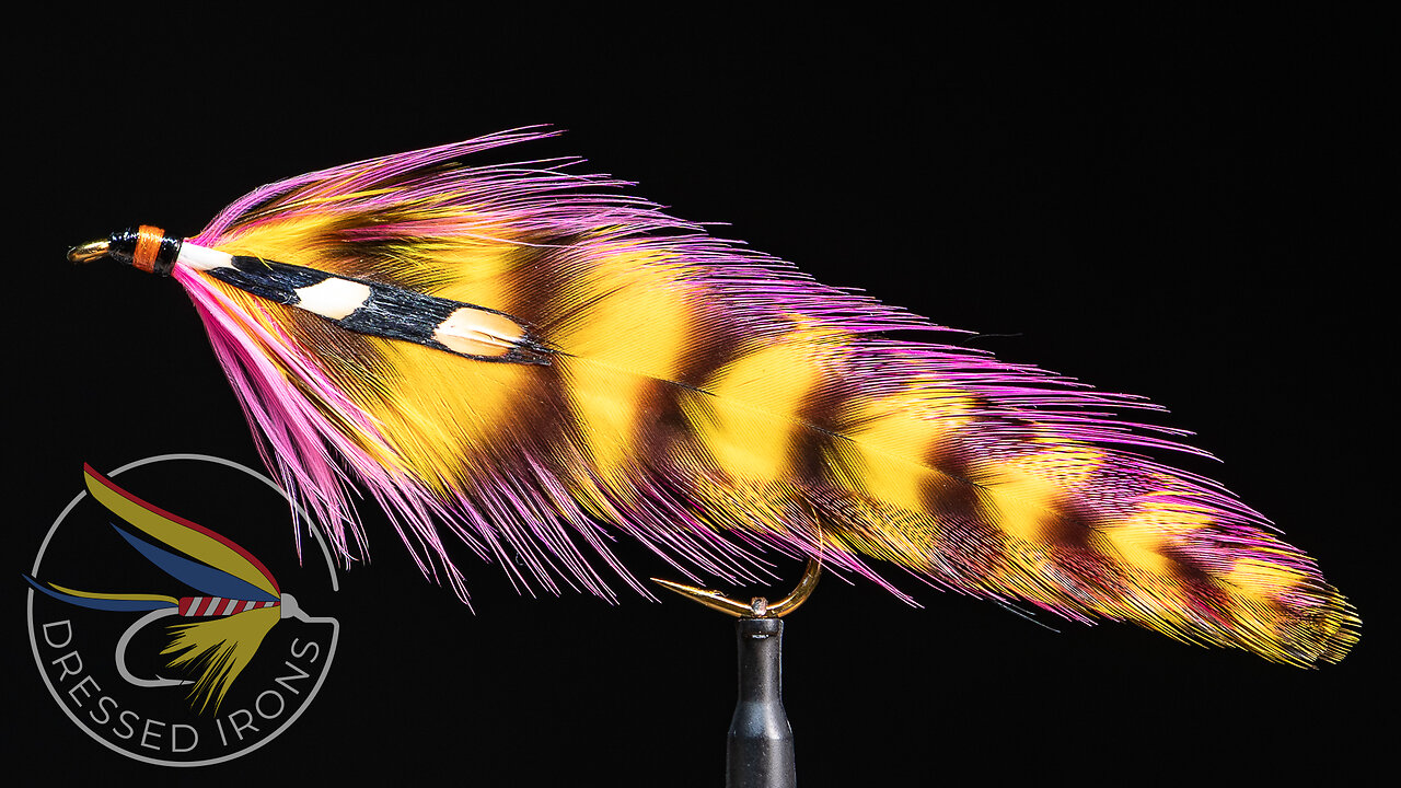 Tying the Jungle Queen - Dressed Irons