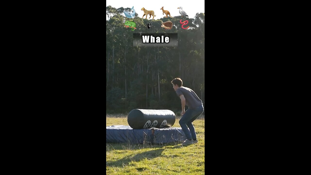 funny animalš¦„