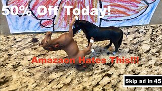 What All Rumble Video Ads Are Like (Part 2) The Horse