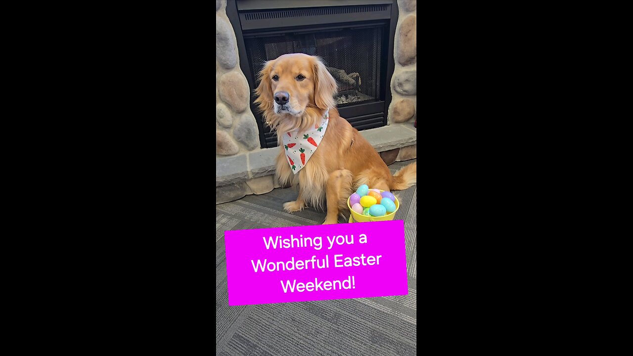 Is Maverick threatening the Easter Bunny?