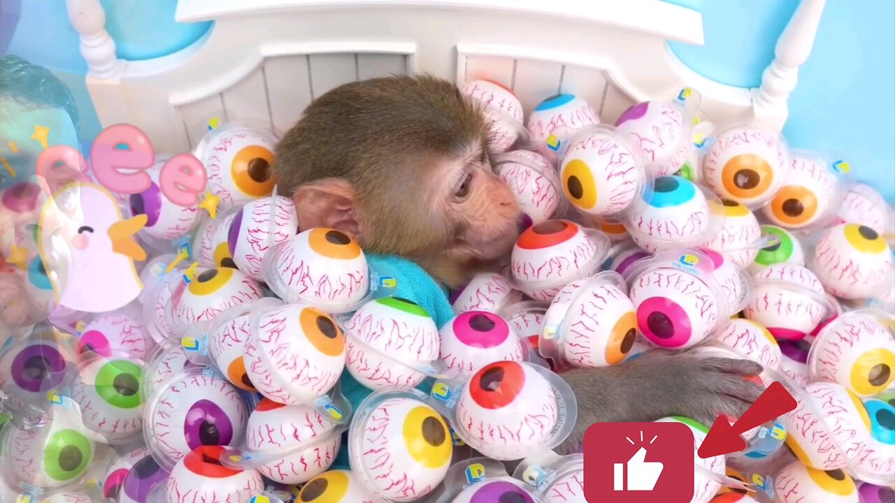 Bonmonkeykiki buy rainbow kitkat candy bathes with baby duck in swimming pool|animaht video inrumble