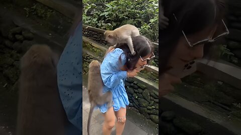 The funny animals #funnyanimals #animals #pets #shorts
