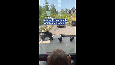 Nice Dog