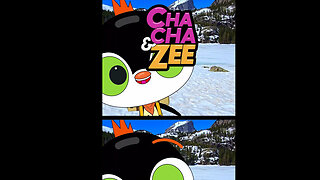 How Did This Little Penguin Beat The Winter Blues?