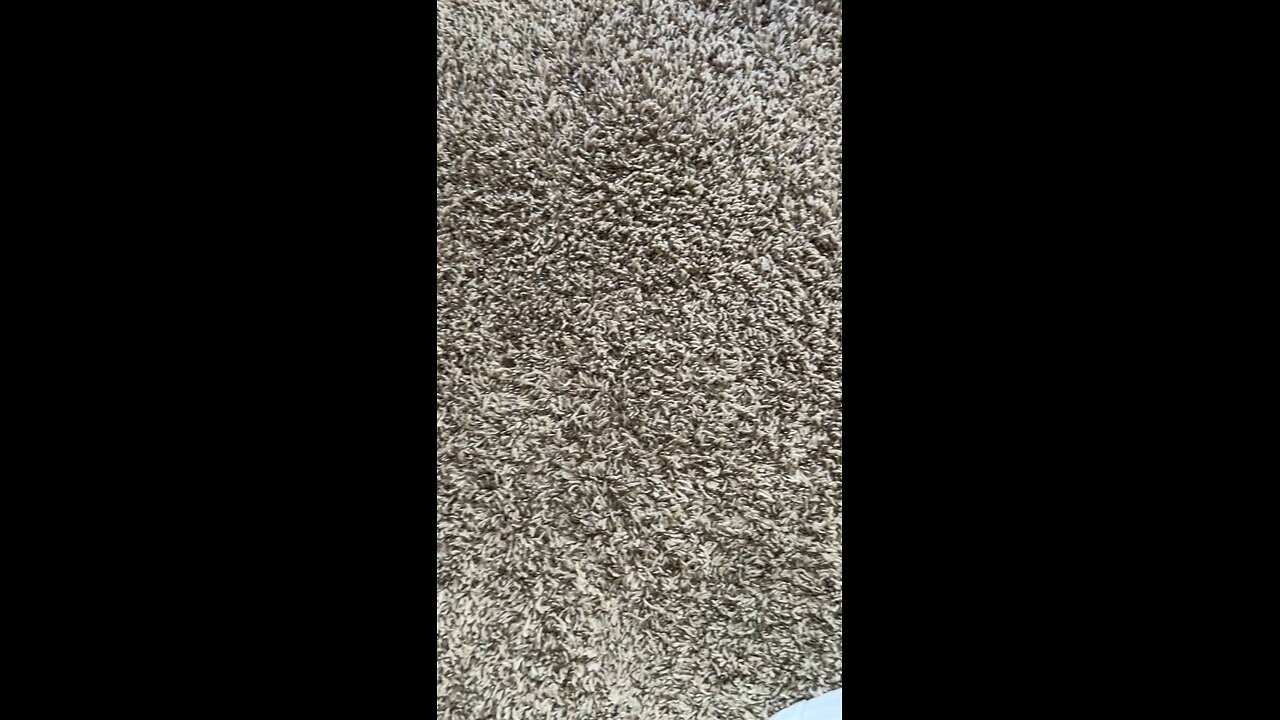 Test 500