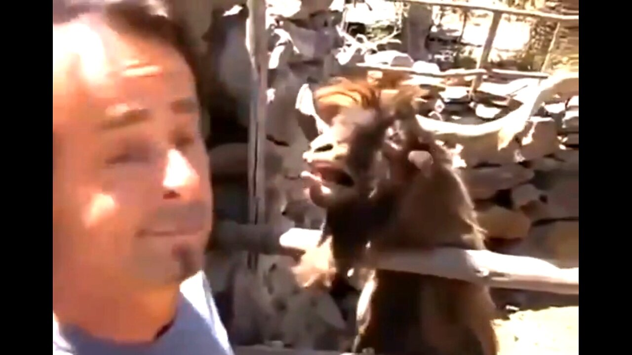 THIS IS ME TRYING TO WAKE THE SHEEPLE UP ABOUT THE NWO DEPOPULATION AGENDA 🐑