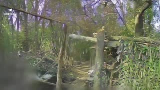 🔥Border guards-operators of FPV drones of the "Forpost" brigade destroy
