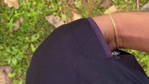 Guinea Pig in My Pocket