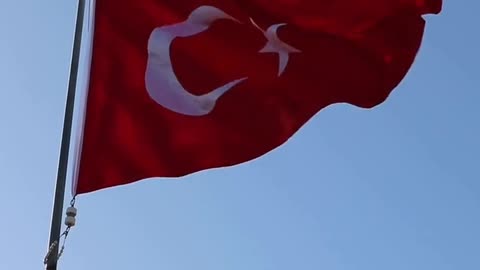 Daily Horoscope | Sagittarius 🌟