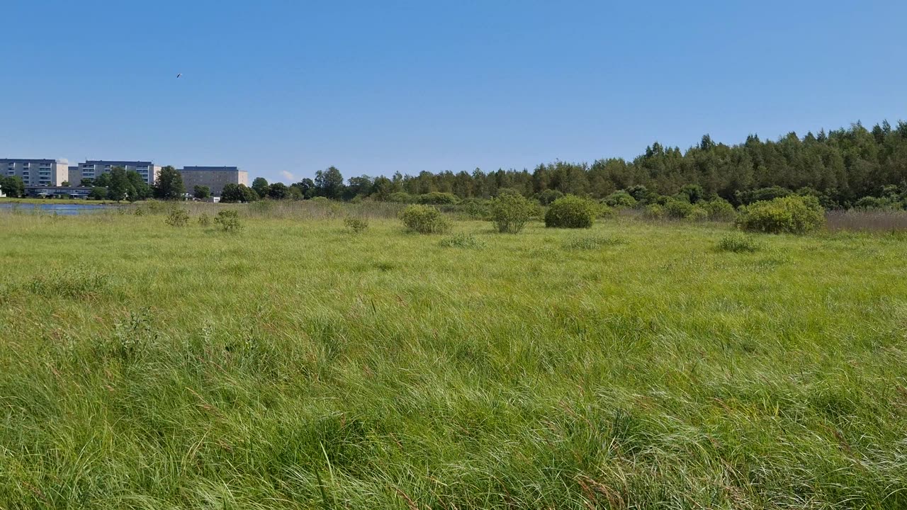 Vid Mariebergsparken. Karlstad 9 Juli 2025