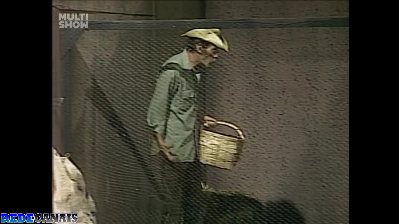 25 - os animais que viajavam em discos voadores