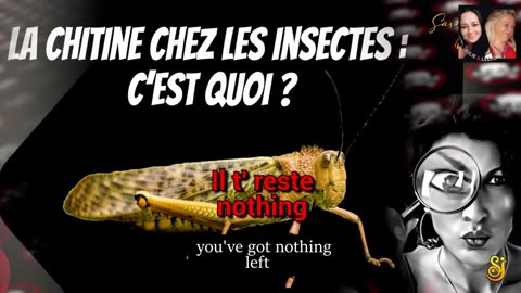 ApéroLiveLove avec Vous les Zzz'Amis 30/12/25 Les Zzz'Infos Bonheur de Leelou