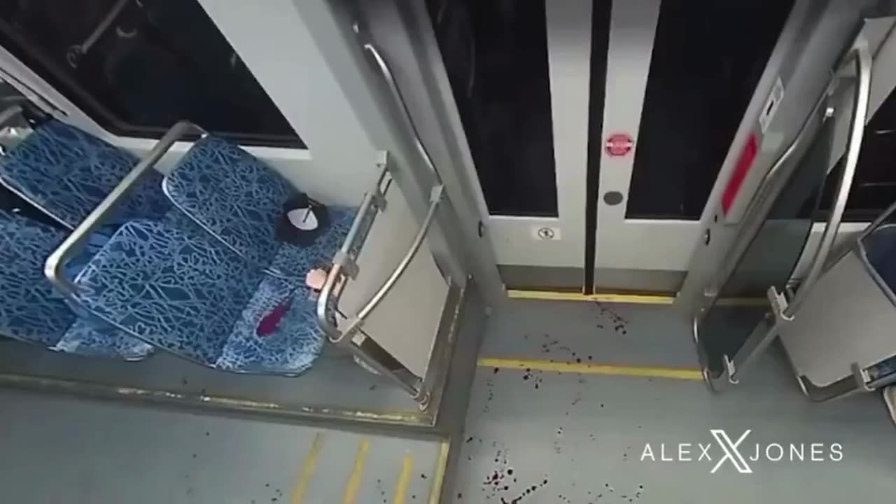 Moment Iryna Zarutska Was Murdered