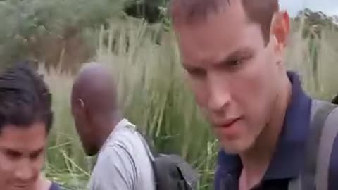 Anaconda Movie Scene Part 10 | Epic Snake Attack & Action Moments