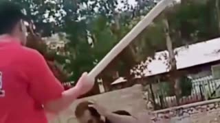 👊🤯 Can He Sense Attacks Blindly? INSANE Martial Arts Master! | FunFM
