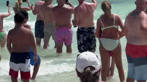 Huge Shark Visits Florida Beach