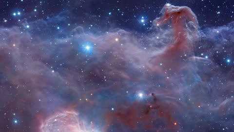 Angel Wisdom with Sharon Taphorn _ Patience Wednesday February 20 2019
