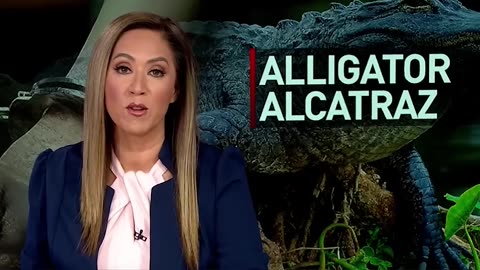 Florida Builds ‘Alligator Alcatraz’ Detention Center for Migrants in Everglades