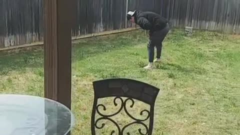 Not the CHICKEN