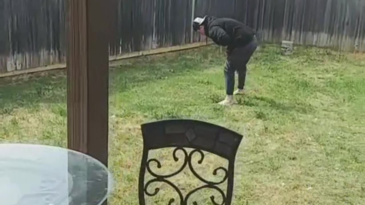 Not the CHICKEN