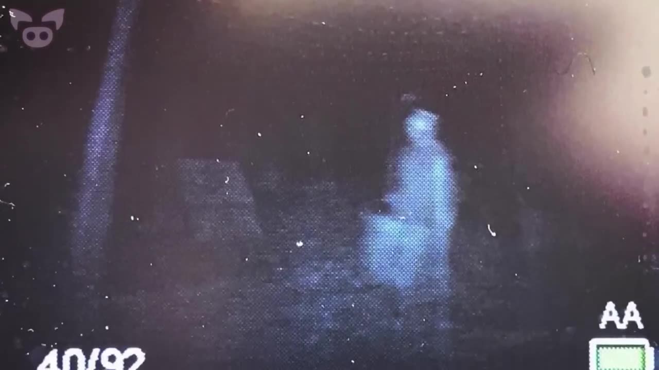 Creepy Trail Cam Capture. 😬 - Slapped Ham Shorts