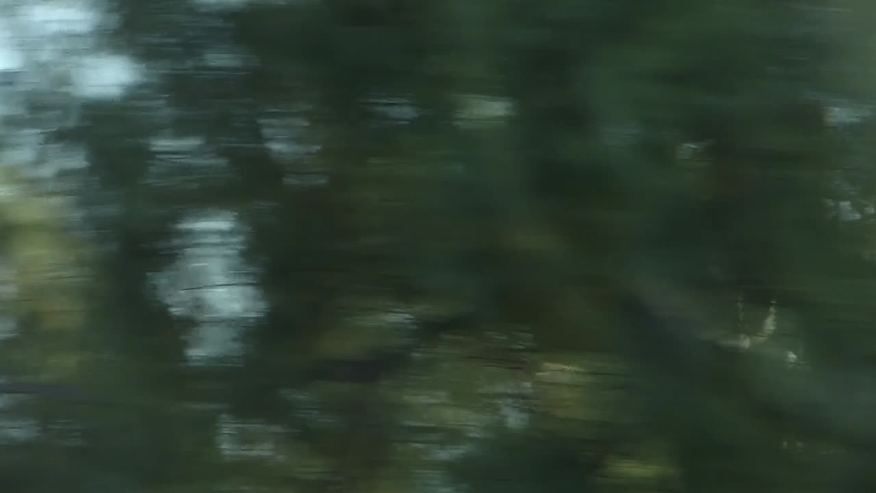 Silos through trees again