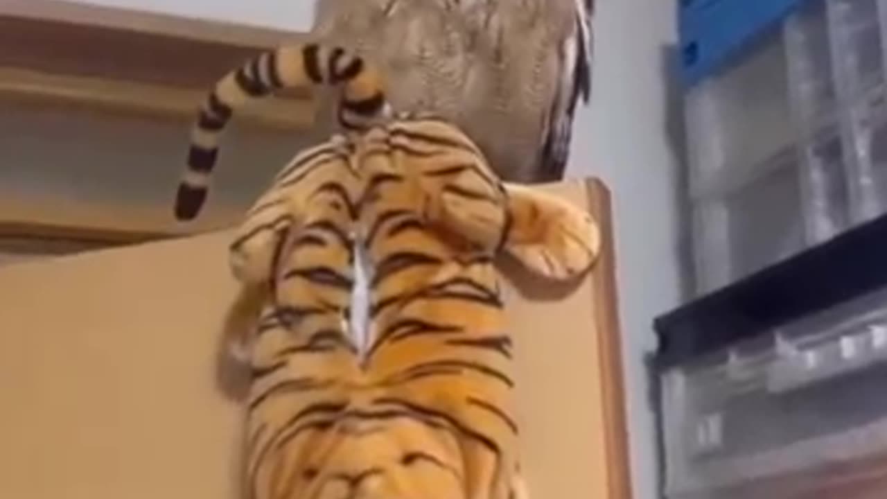 Funny animals๐๐๐