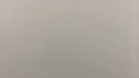 Trump’s new monetary system